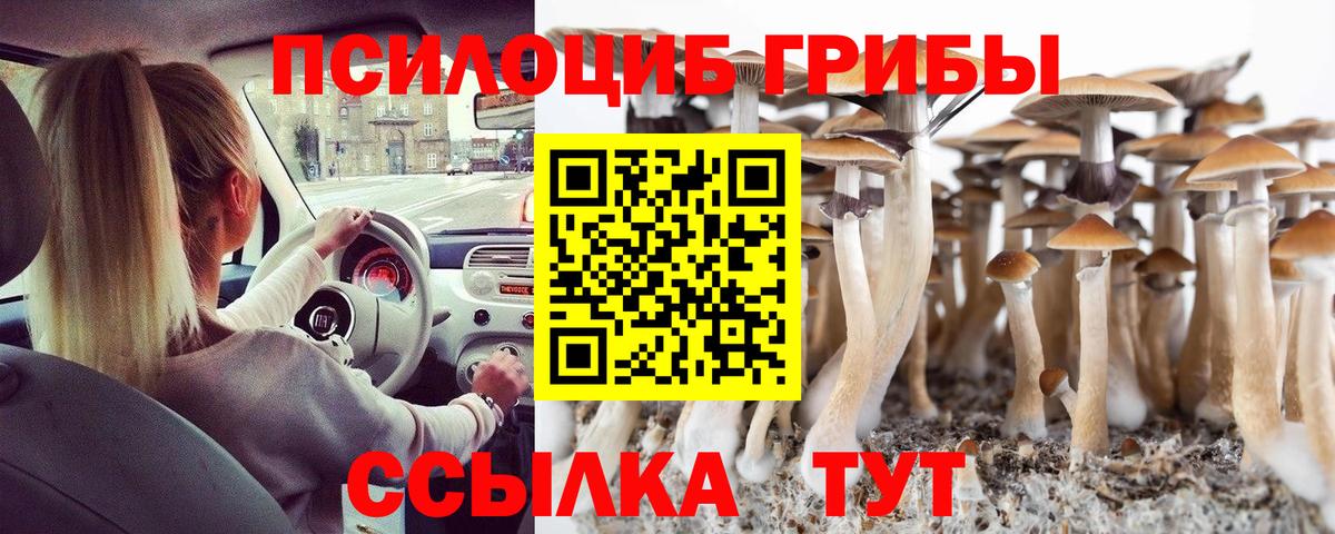 Галлюциногенные грибы ЛСД Аргун