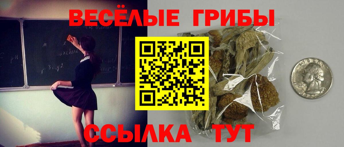 Псилоцибиновые грибы мицелий  Вход с VPN  Галлюциногенные грибы прущие грибы  Аргун 